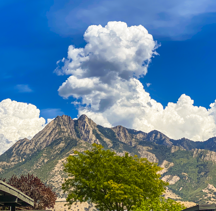 This image has an empty alt attribute; its file name is IMG_6548-2.png